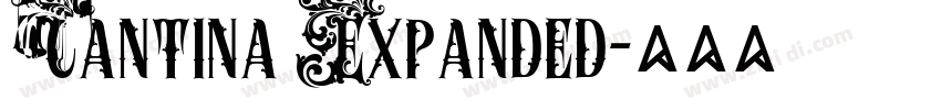 Cantina Expanded字体转换